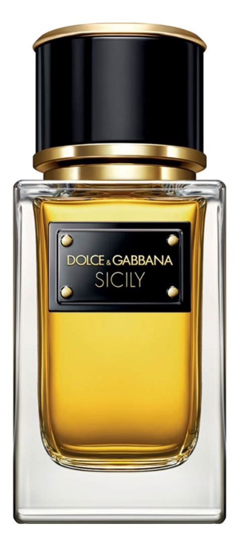 dolce gabbana sisley|Dolce and Gabbana.